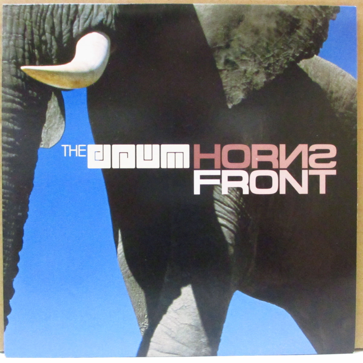 DRUM, THE (CHINA DRUM) (ザ・ドラム (チャイナ・ドラム)) - Horns Front (UK オリジナル 7インチ+光沢固紙ジャケ)