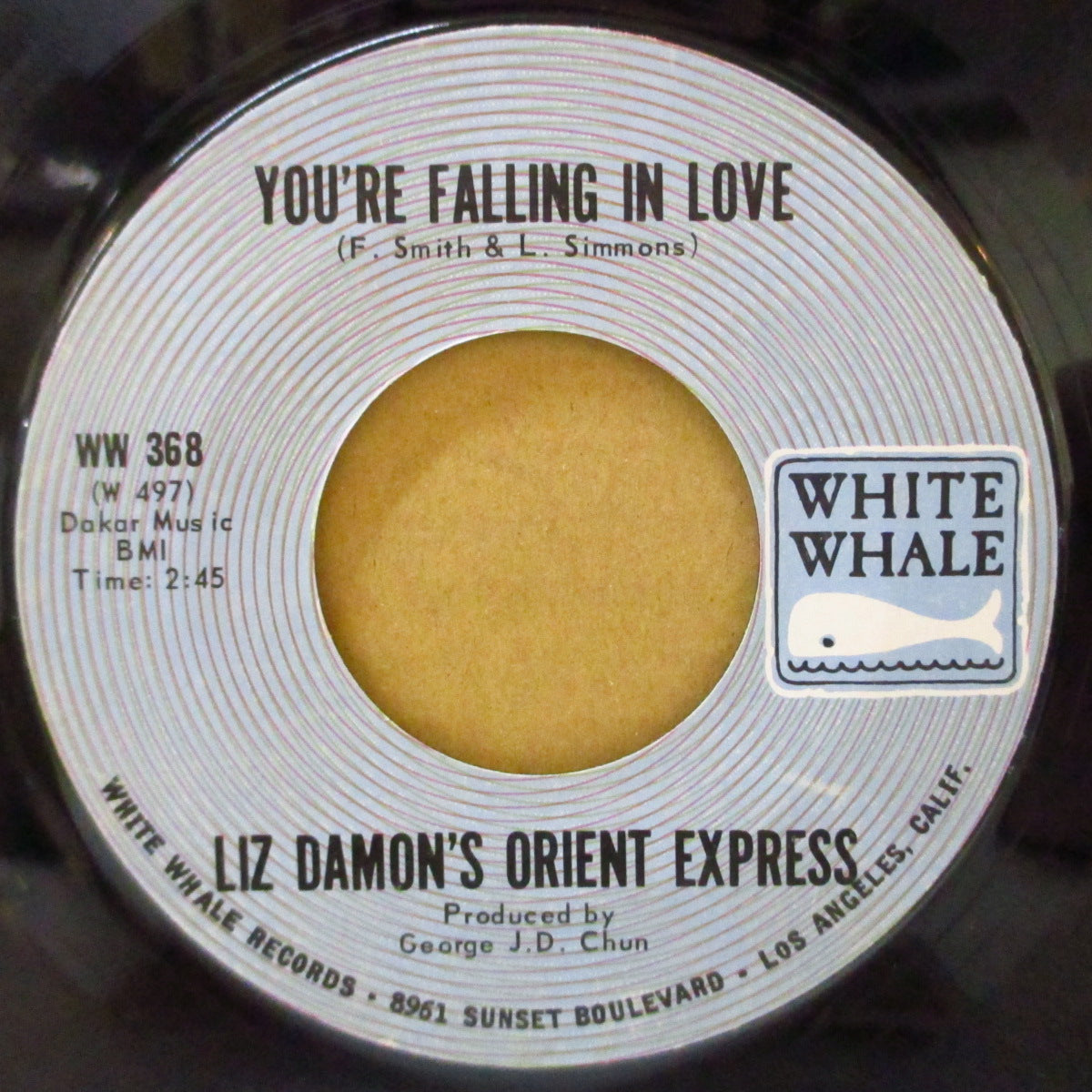 LIZ DAMON'S ORIENTAL EXPRESS (リズ・デーモンズ・オリエンタル・エクスプレス) - You're Falling In Love (US '70 White Whale社再発 7インチ) JET SETサバービア+サンシャインポップ)