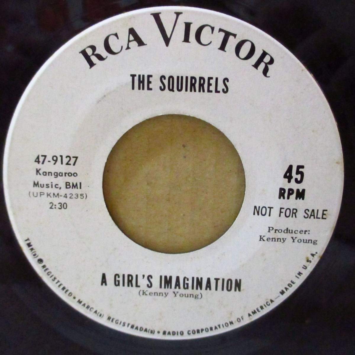 SQUIRRELS, THE (ザ・スクワーレルズ ) - A Girl's Imagination (US '67 プロモ・白ラベ7インチ)ブリル・ビルディング天才作曲家ケニー・ヤングの覆面バンドのサンシャイン・ポップ!
