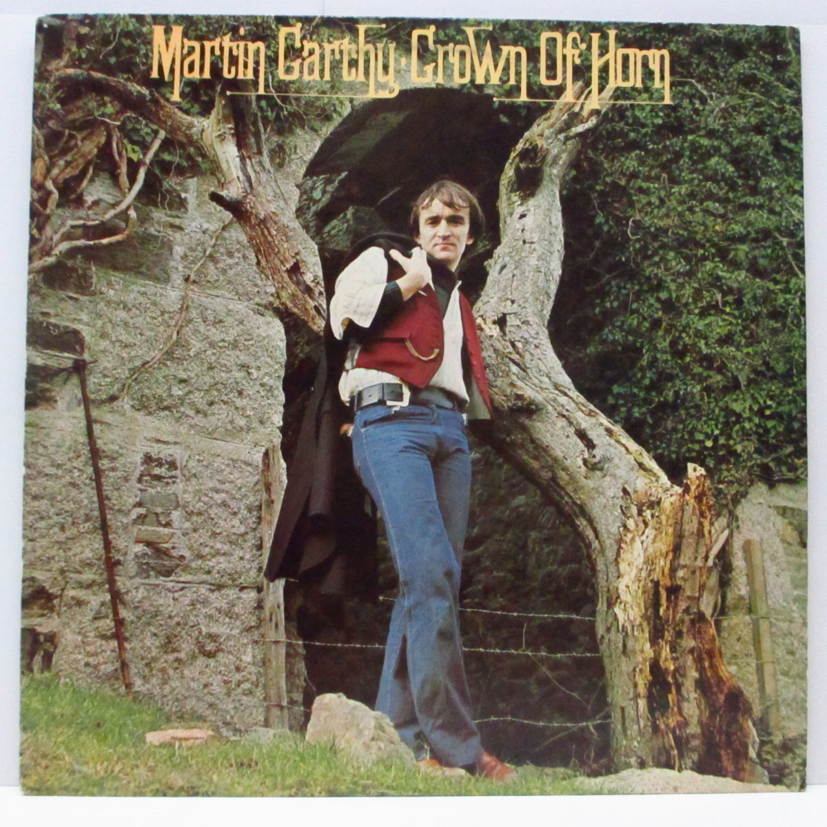 MARTIN CARTHY (マーティン・カーシー) - Crown Of Horn (UK オリジナル LP) '76年9th ソロアルバム!