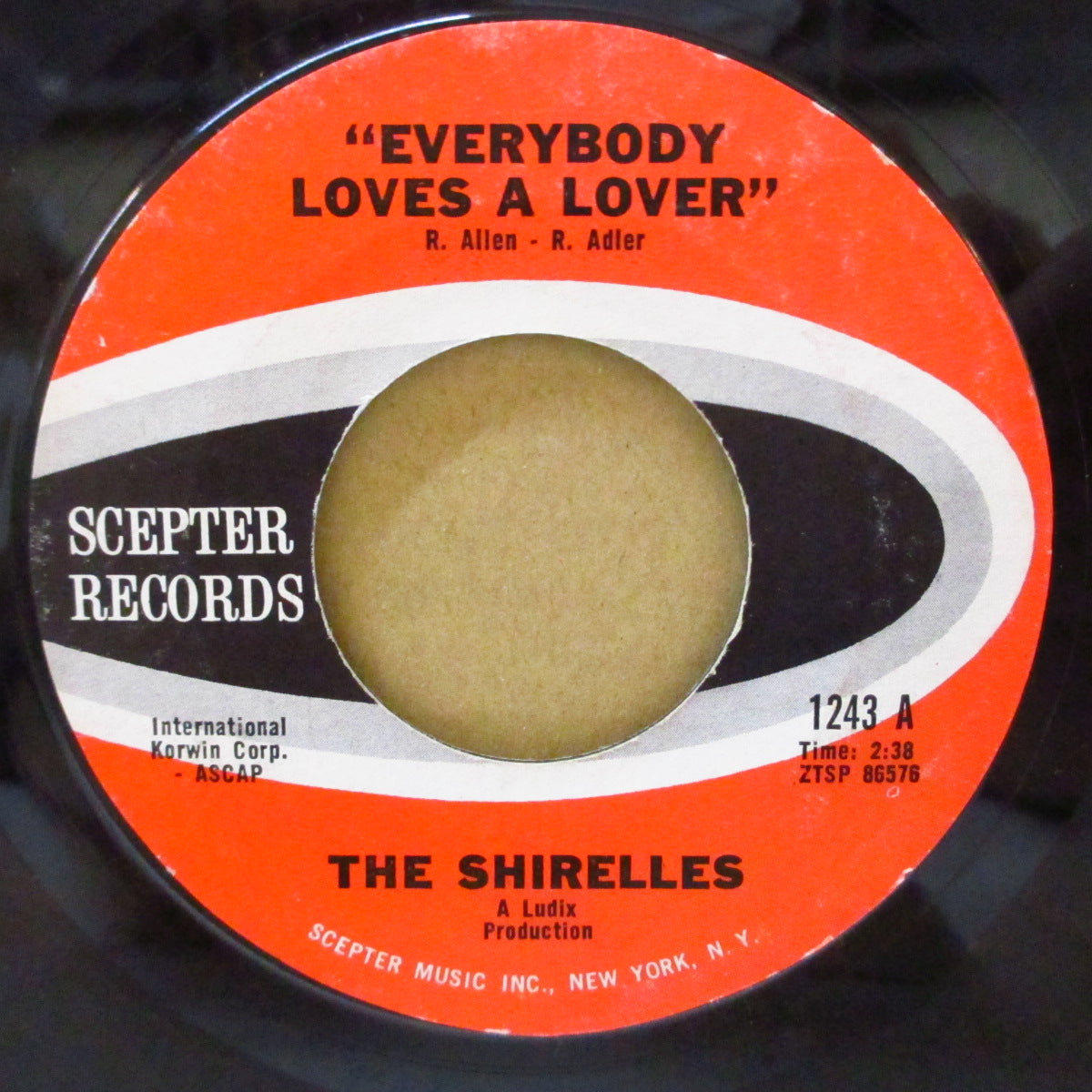 SHIRELLES (ザ・シュレルズ) - Everybody Loves A Lover (US '62 オリジナル「黒文字印刷ラベ ver」7インチ)ティーンポップ+ノーザン!