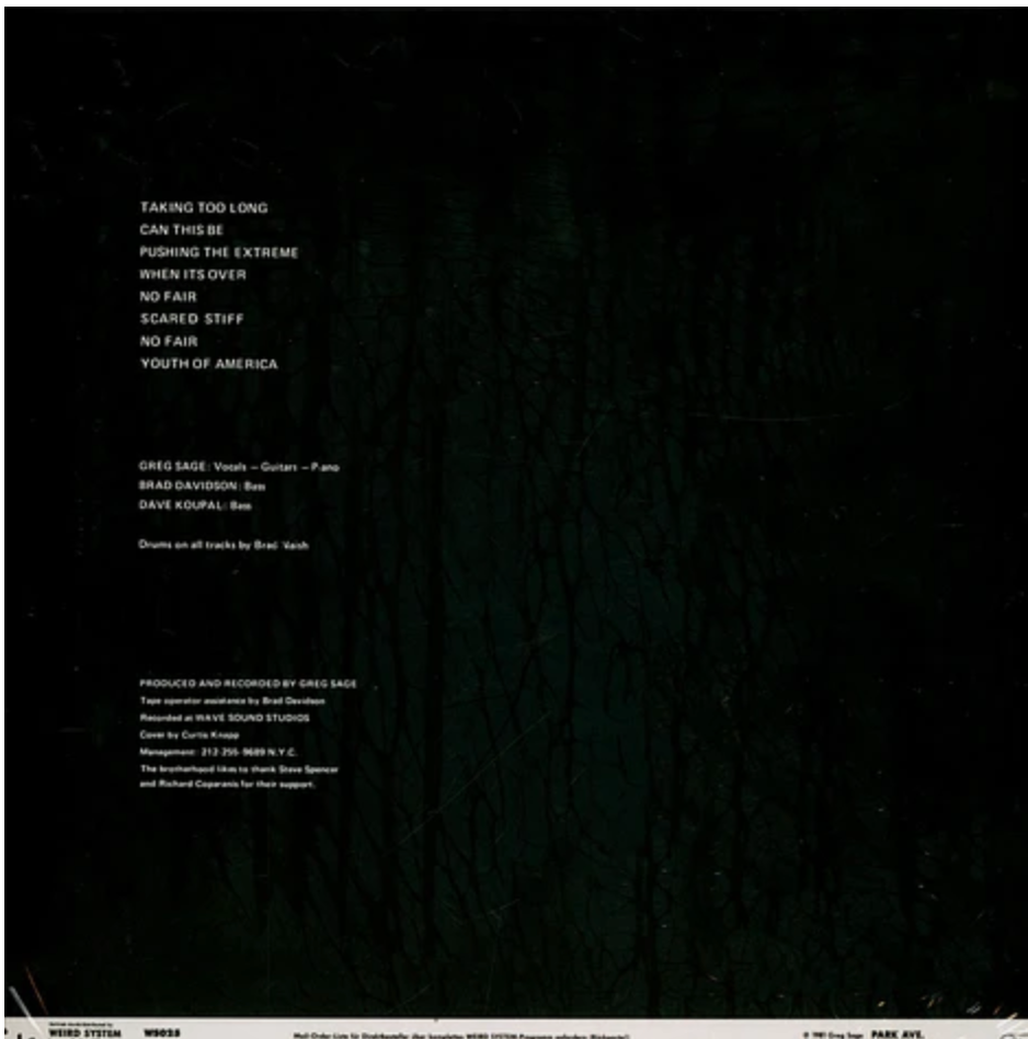 WIPERS (ワイパーズ) - Youth Of America (German 正規再発「限定プレス」 LP / New) ボーナス2曲入り!