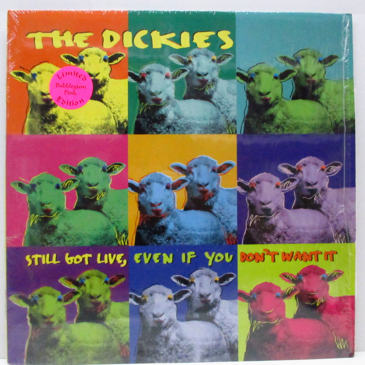 DICKIES, THE (ディッキーズ) - Still Got Live, Even If You Don't Want It (US '01 限定再発「白ラベ」ピンクヴァイナル LP/ステッカー付ジャケ)未発表テイク集 !