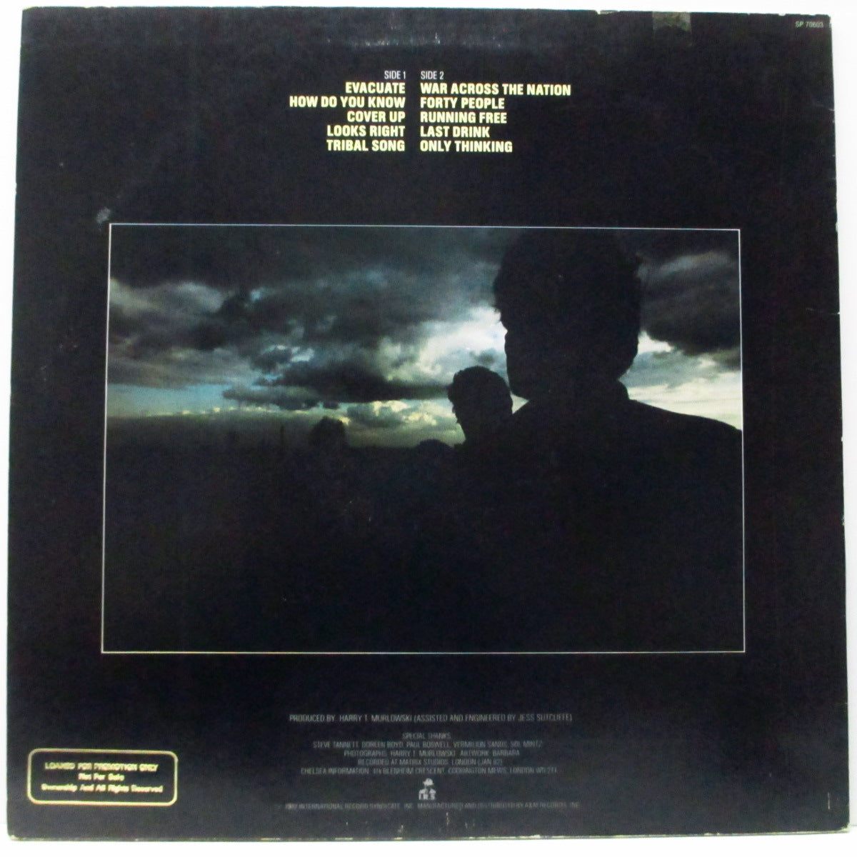 CHELSEA (チェルシー) - Evacuate (US オリジナル LP/プロモ印有ジャケ)