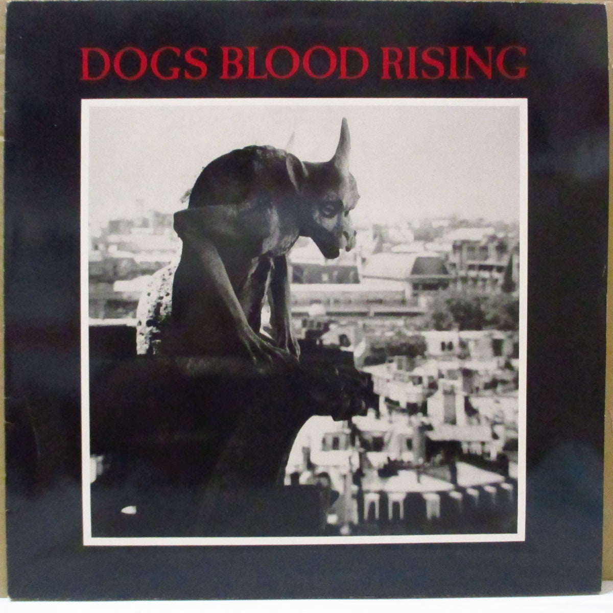 CURRENT 93 (カレント93) - Dogs Blood Rising (Belgium オリジナル LP+ソフト紙インサート) '84年2ndアルバム