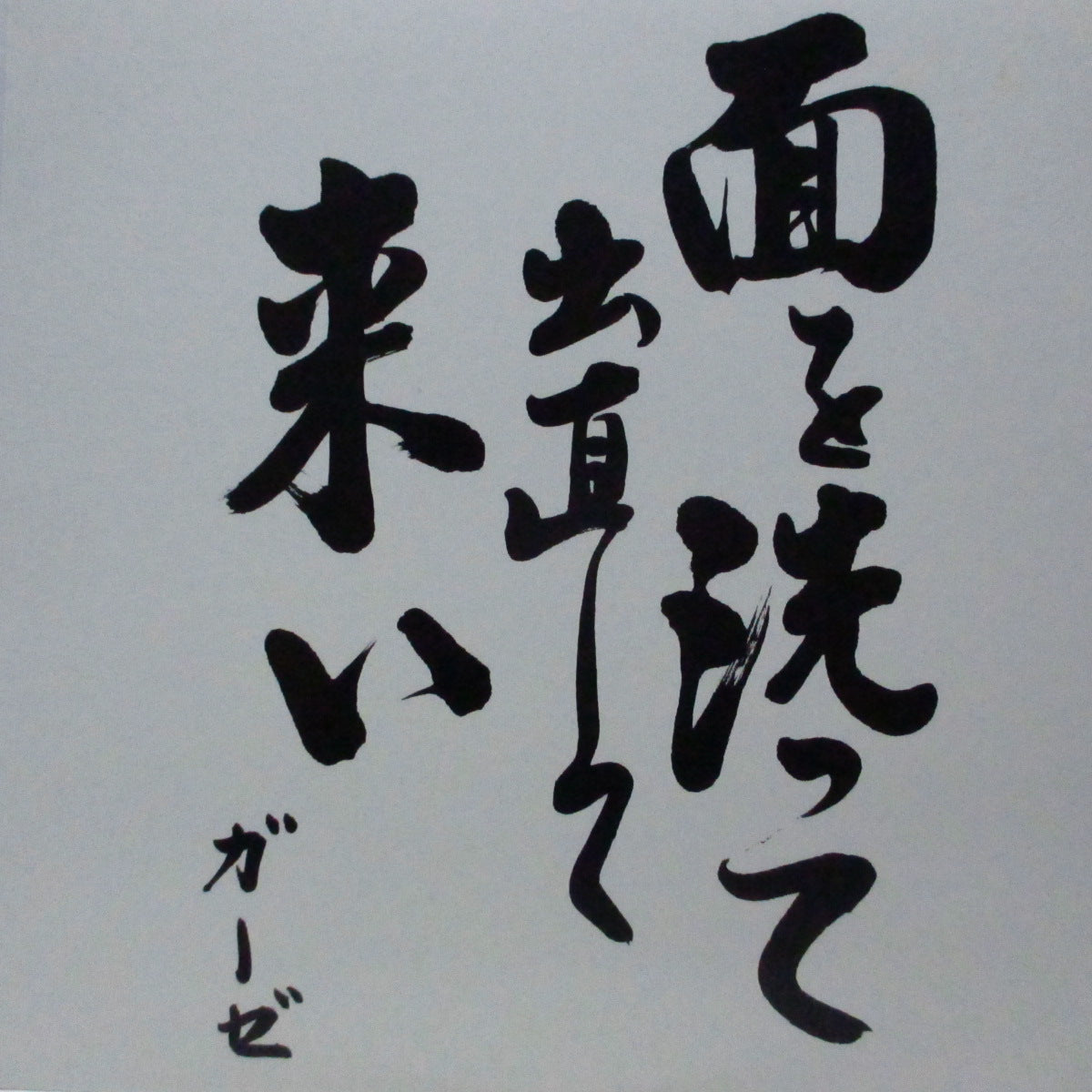 GAUZE (ガーゼ) - 面を洗って出直して来い (Japan 初回通販限定 12"+インサート)