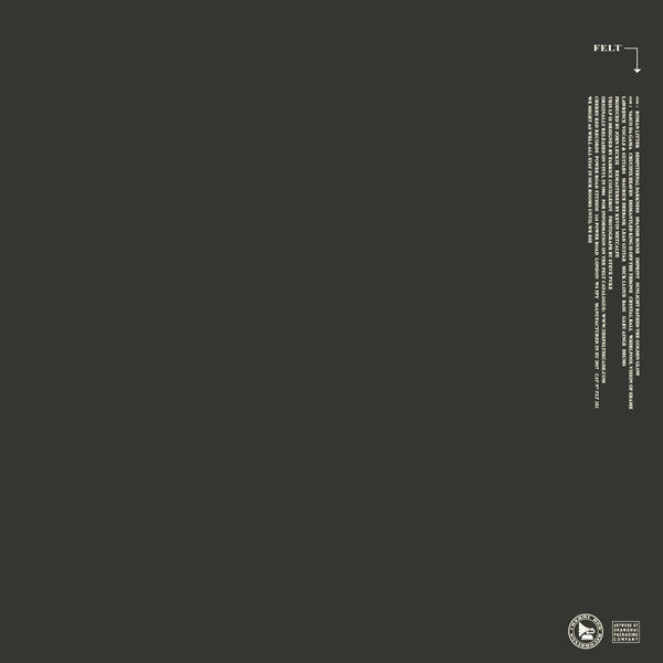 FELT (フェルト) - The Strange Idols Pattern And Other Short Stories (UK 限定復刻リマスター再発 LP+ポスター/NEW)