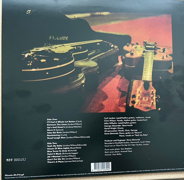 FLAMIN' GROOVIES (フレイミン・グルーヴィーズ ) - Now (EU 正規再発「750枚限定ナンバリング入りホワイトヴァイナル」180グラム LP/ New)