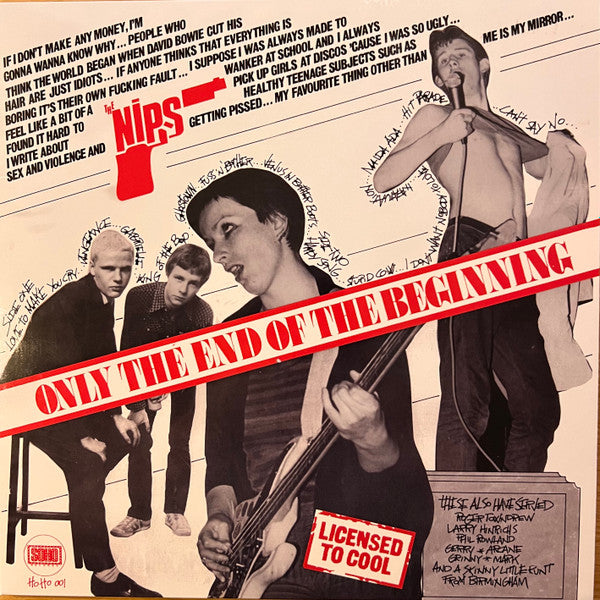NIPS, THE (ザ ・ニップス) - Only The End Of The Beginning (UK 限定プレス再発 LP/ New) feat.シェイン・マクガワン(ポーグス)