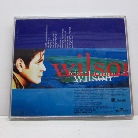 BRIAN WILSON (ブライアン・ウィルソン) - Imagination (Japan オリジナル CD+帯)