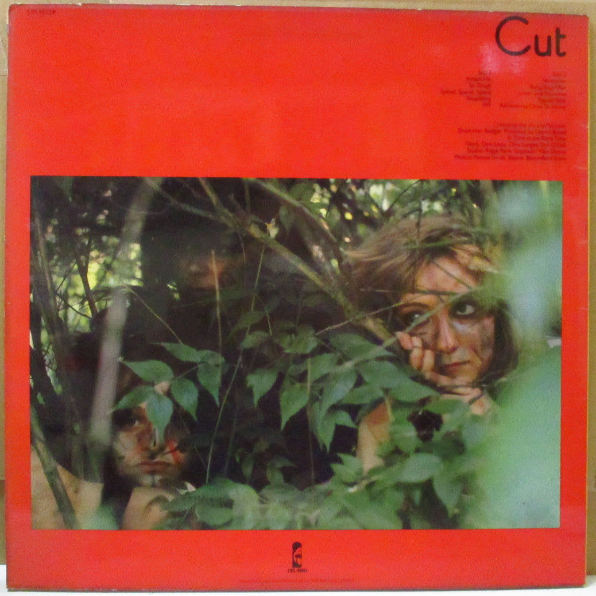 SLITS, THE (ザ・スリッツ) - Cut (UK オリジナル・両面シルエットラベ LP+インナー/両面コーティングジャケ)