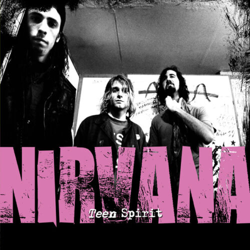 NIRVANA (ニルヴァーナ) - Teen Spirit: The Story Of Nirvana (UK Limited Book/NEW)
