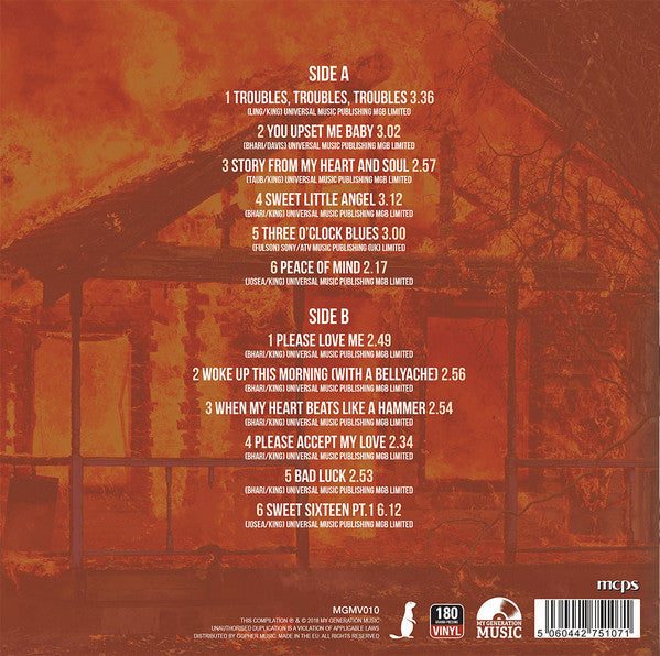 B.B.KING (B.B.キング) - Mississippi Burning (EU Ltd. 180g LP/New)