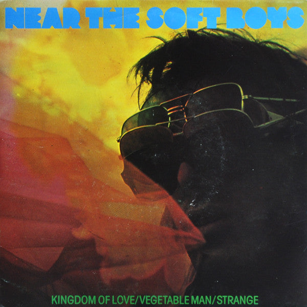 SOFT BOYS, THE (ザ・ソフト・ボーイズ) - I Wanna Destroy You / Near The Soft Boys (US 1,700枚限定「正規」再発 2x7"/ New) 40周年記念ダブル7インチセット!