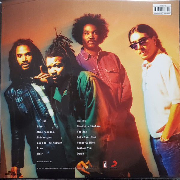 BAD BRAINS (バッド・ブレインズ) - Rise (US 「正規」限定プレス再発 LP/ New) '93年5th アルバム!