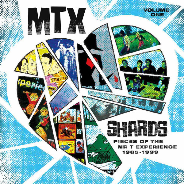 MR. T EXPERIENCE, THE (ザ・ミスター・ティー・エクスペリエンス) - Shards Vol. 1 (US 限定180グラム カラーヴァイナル LP「廃盤 New」)