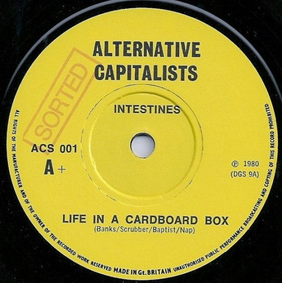INTESTINES (インテスティンズ) - Life In A Cardboard Box (UK 限定ナンバリング入り正規再発 7"/水色ジャケ「廃盤 New」)