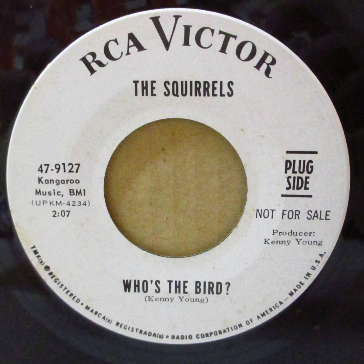 SQUIRRELS, THE (ザ・スクワーレルズ )  - A Girl's Imagination (US '67 プロモ・白ラベ7インチ)ブリル・ビルディング天才作曲家ケニー・ヤングの覆面バンドのサンシャイン・ポップ！