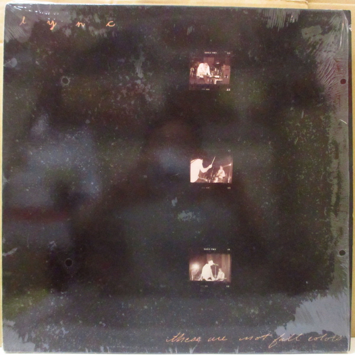 LYNC (リンク)  - These Are Not Fall Colors (US オリジナル LP+インサート) '94年唯一のアルバム