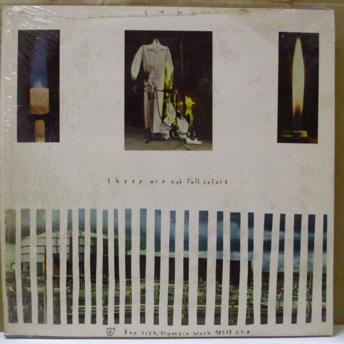 LYNC (リンク)  - These Are Not Fall Colors (US オリジナル LP+インサート) '94年唯一のアルバム