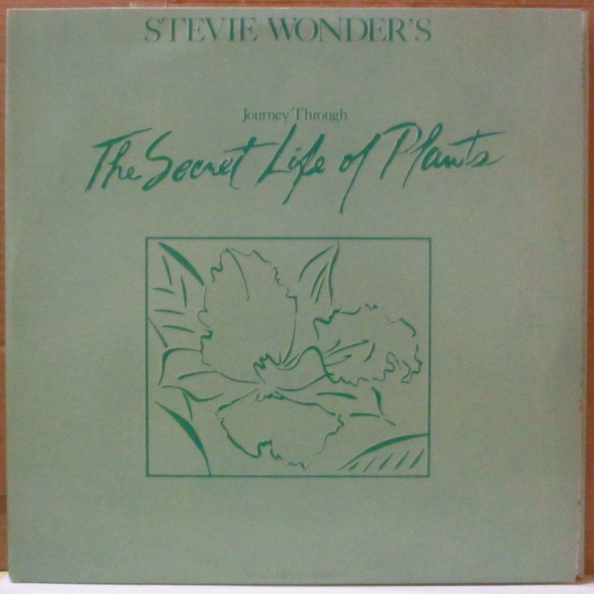 STEVIE WONDER (スティーヴィー・ワンダー)  - Journey Through The Secret Life Of Plants (UK '79 オリジナル LPx2枚組/エンボス点字有り3面見開きジャケ)名作サントラ