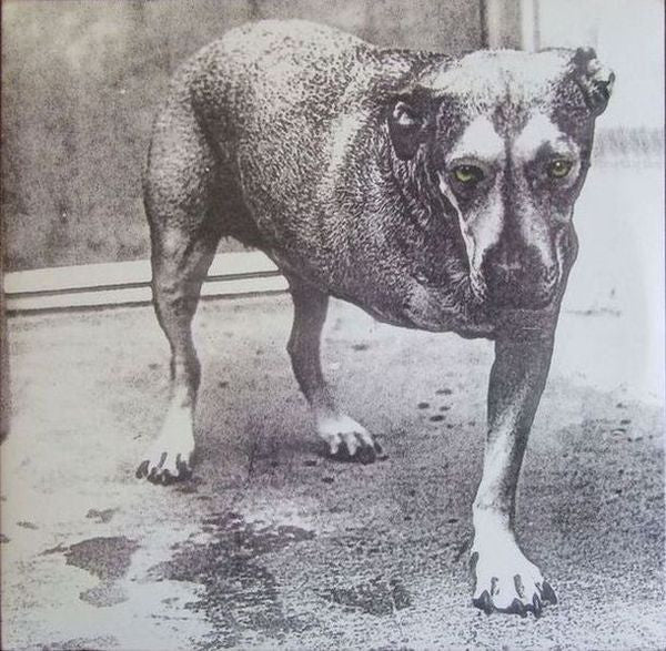 ALICE IN CHAINS (アリス・イン・チェインズ)  - S.T. <3rd Album> (US 限定リプロ再発「レッドヴァイナル」 2xLP/NEW) '95年3rdアルバム