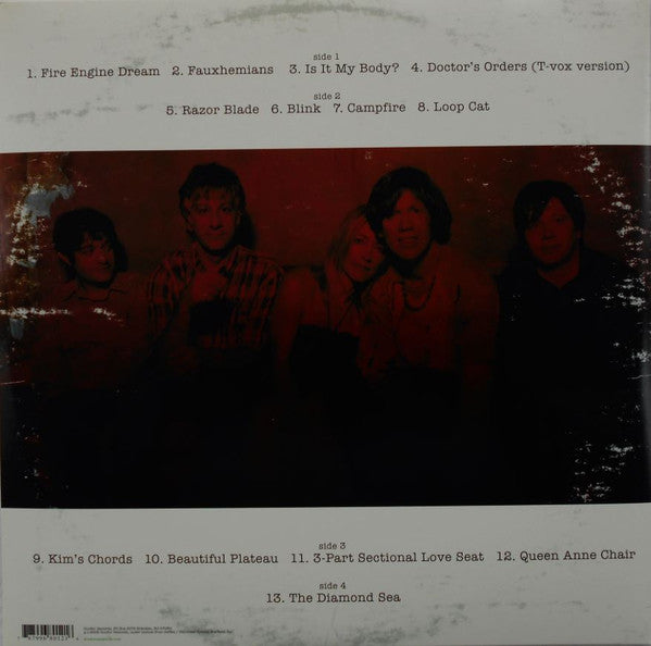 SONIC YOUTH (ソニック・ユース)  - The Destroyed Room B-Sides And Rarities (US 限定 LPx2枚組/NEW) レアトラックコンピ
