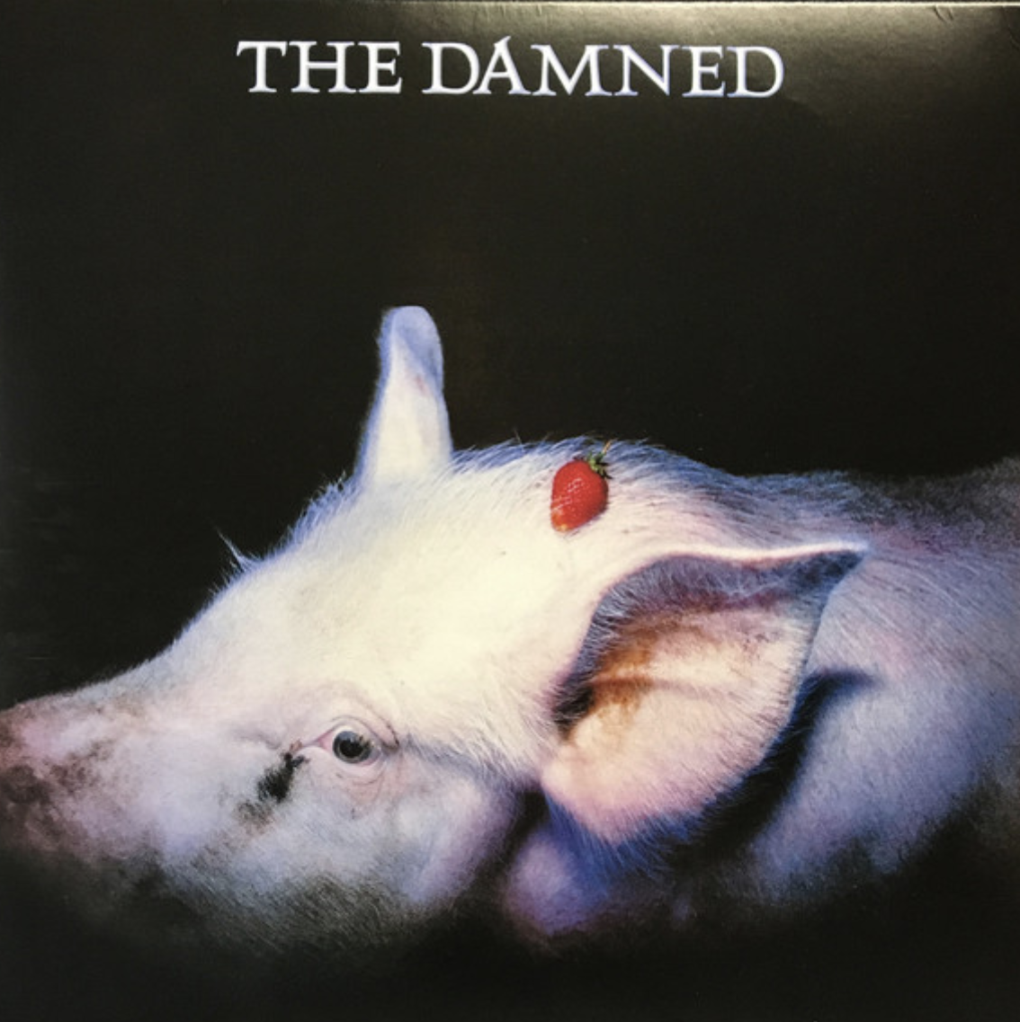 DAMNED, THE (ザ・ダムド) - Strawberries (EU 限定プレス再発 LP/ New) '82年5th アルバム！