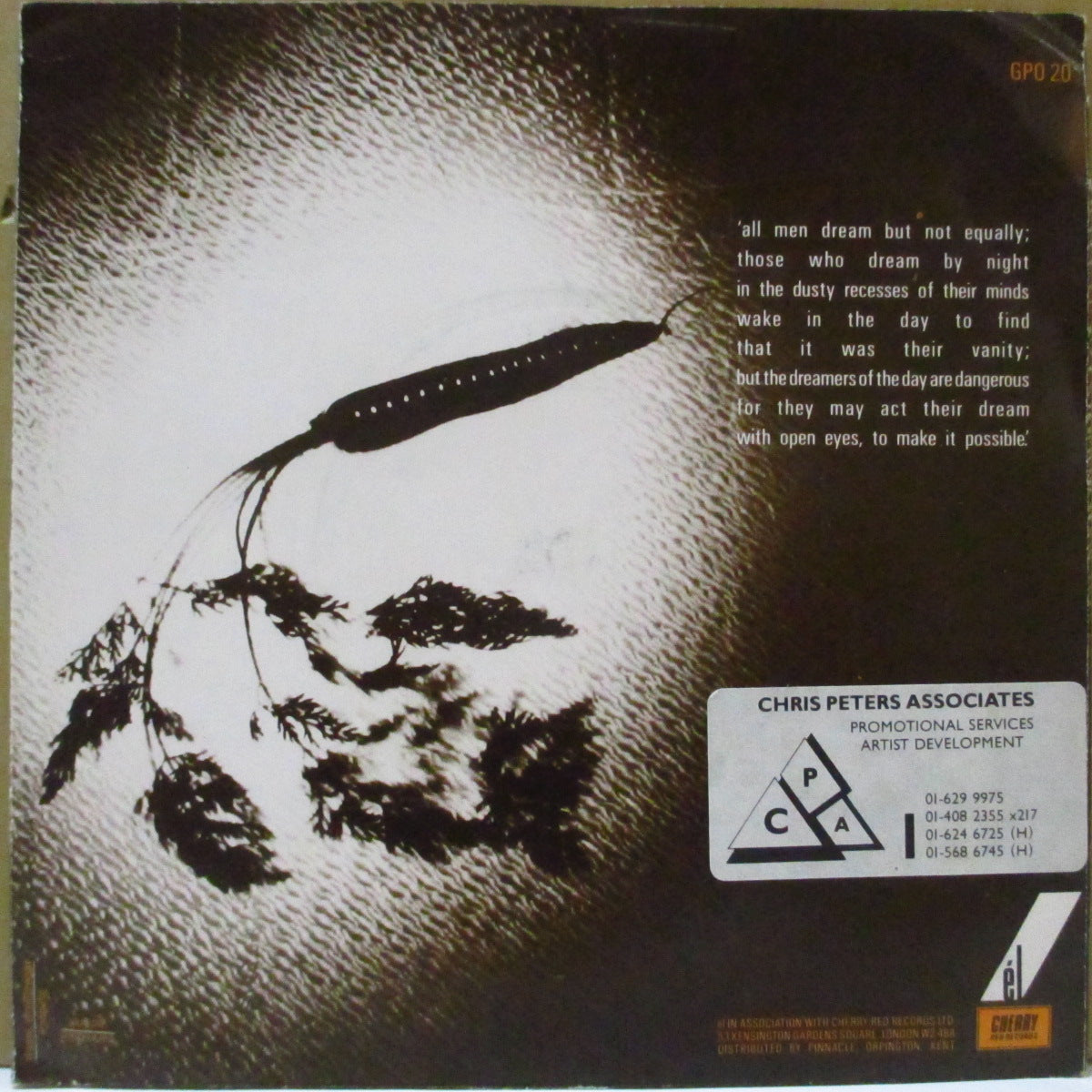 KLAXON 5 (クラクソン・ファイヴ)  - Never Underestimate The Ignorance Of The Rich (France オリジナル 7インチ+光沢ソフト紙ジャケ)