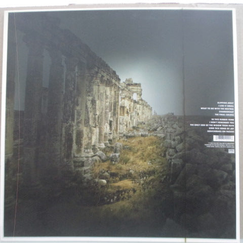 MUDHONEY (マッドハニー)   Vanishing Point (EU オリジナル LP+インナー/Embossed CVR)