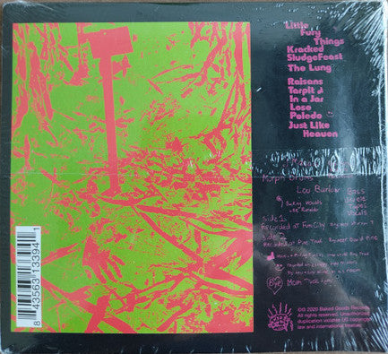 DINOSAUR Jr. (ダイナソーJr)  - You're Living All Over Me (US 限定復刻再発 CD/NEW)