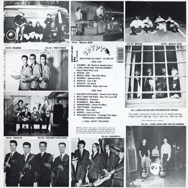 V.A. (米60sガレージ名作シリーズコンピ) - Back From The Grave Vol.6 (ドイツ CRYPT社 再発LP/ライナーノーツ更新の見開きジャケ/New)