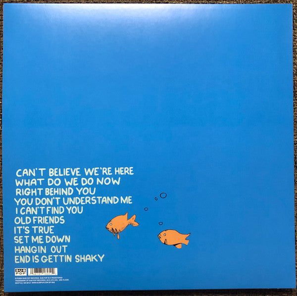 J MASCIS (J・マスキス)  - What Do We Do Now (US 限定リリース LP/NEW)